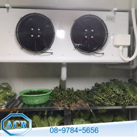 ผู้ผลิตและออกแบบติดตั้งห้องเย็น แอดวานซ์ คูล เทคโนโลยี - ติดตั้งห้องFreezer room